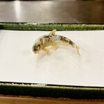 天ぷら はせ川 - 