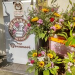 cafe Hanamori - 新規オープン