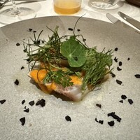 ARMONICO - 