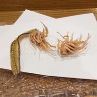 天婦羅ほり川 ホテルニューオータニ店 - 