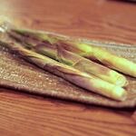 鹿教湯 三水館 - 2010年6月