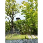 BENOIT Kyoto Alain Ducasse - 