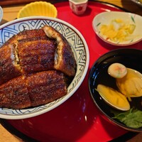 炭焼 うな富士 天白別邸 - 