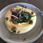 THE APOLLO - タラマサラータ