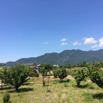 元祖ニュータンタンメン本舗 上田店 - 店先の綺麗な景色