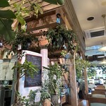 PLANT CAFE BOKETTO - 