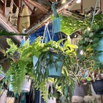 PLANT CAFE BOKETTO - 