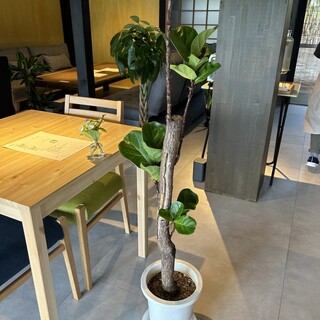 お家カフェ ぽかぽか_2