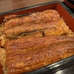 Unagi No Toyokawa - 