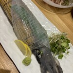 呼子活イカ 博多巻き串 燈 - 