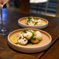 シャイニーアウル 表参道 - 