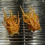 てんぷら 下村 - 車海老頭