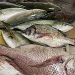 ニュー・タージ・マハール - 