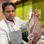 ニュー・タージ・マハール - 