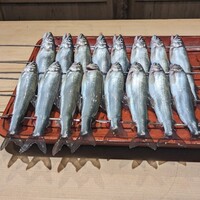 富小路 やま岸 - 