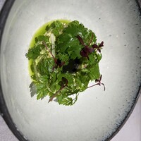 Conico - 