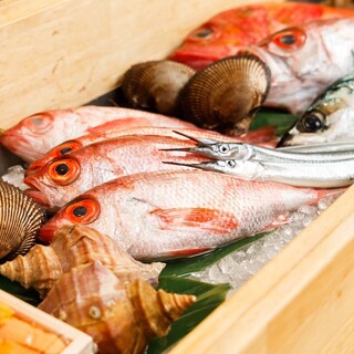 sushi光華_0
