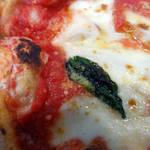 シージェイスタンダード - 生地はモッチﾓﾁ