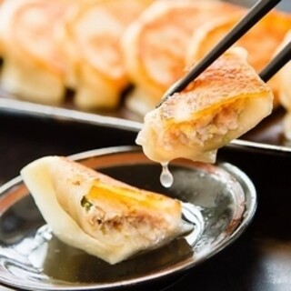 "Hakata Teppan Gyoza / Dumpling All-You-Can-Eat Course" - unlimited refills