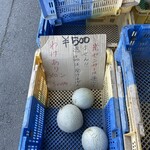 サングリーン旭 - 