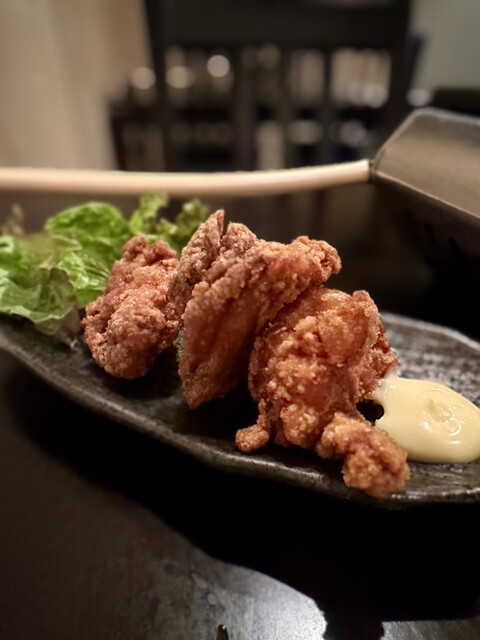 Toriyaki Tamaru photo 5