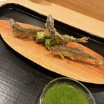 津の守坂 小柴 - 