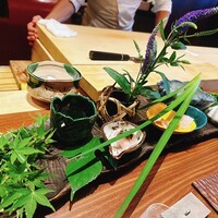 弧柳 - 
