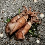 レヴォ - ホタルイカのアップ