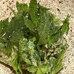 レヴォ - 山野草アップ