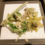 飛騨季節料理 肴 - 