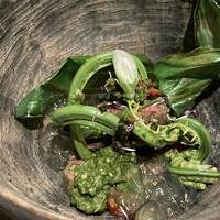 レヴォ - 山野草の鮮やかさ