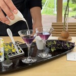 レストランぶどうの森 レ・トネル - ウイキョウを入れるとピンクに