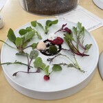 レストランぶどうの森 レ・トネル - 収穫