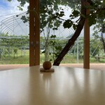 レストランぶどうの森 レ・トネル - 一輪挿し