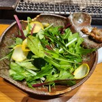 梟の響キ 秋月 いろり蔵 - 