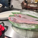 銀座うかい亭 - 