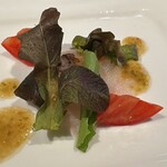 Azabu Juuban Hashimoto - スズキのカルパッチョ　柚子胡椒ソース