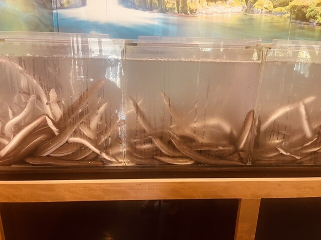 Senri Unagi Goshominami Ten photo 4