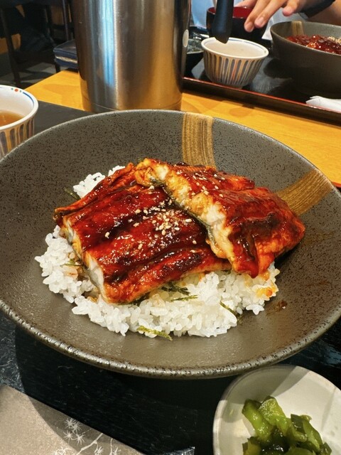 Kyo Shikanai Hon Ten