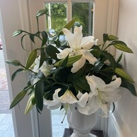 レストラン ラ・マーレ - 