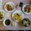 Fuyounoma - 料理写真:１順目　取り過ぎました