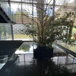 ラウンジ ORIGAMI - 