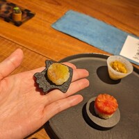 マキノンチ - 