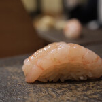 青山鮨孝 - 甘エビ
