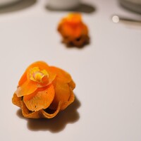 オマージュ - 花びらのようなタルトレット