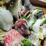 あじろ定置網 - お造り盛り合わせ