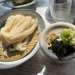 Udon Shokunin Sanuki Men Nosuke - ザルうどん