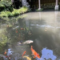 うかい鳥山 - 