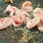 たまきち - 