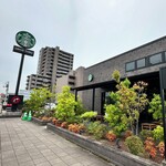 STARBUCKS COFFEE - 